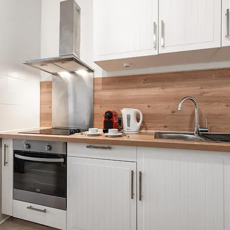 Large 100m From The 公寓 尼斯